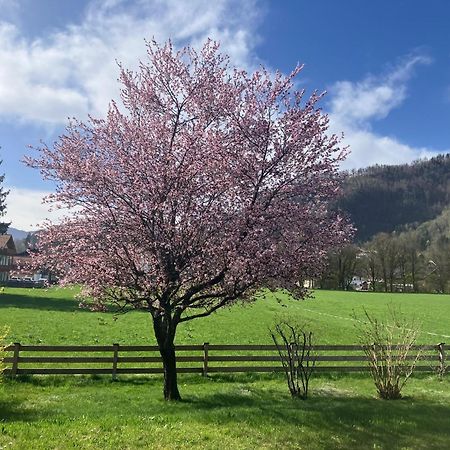 Open Garden Mountain Lodge Oberaudorf Dış mekan fotoğraf