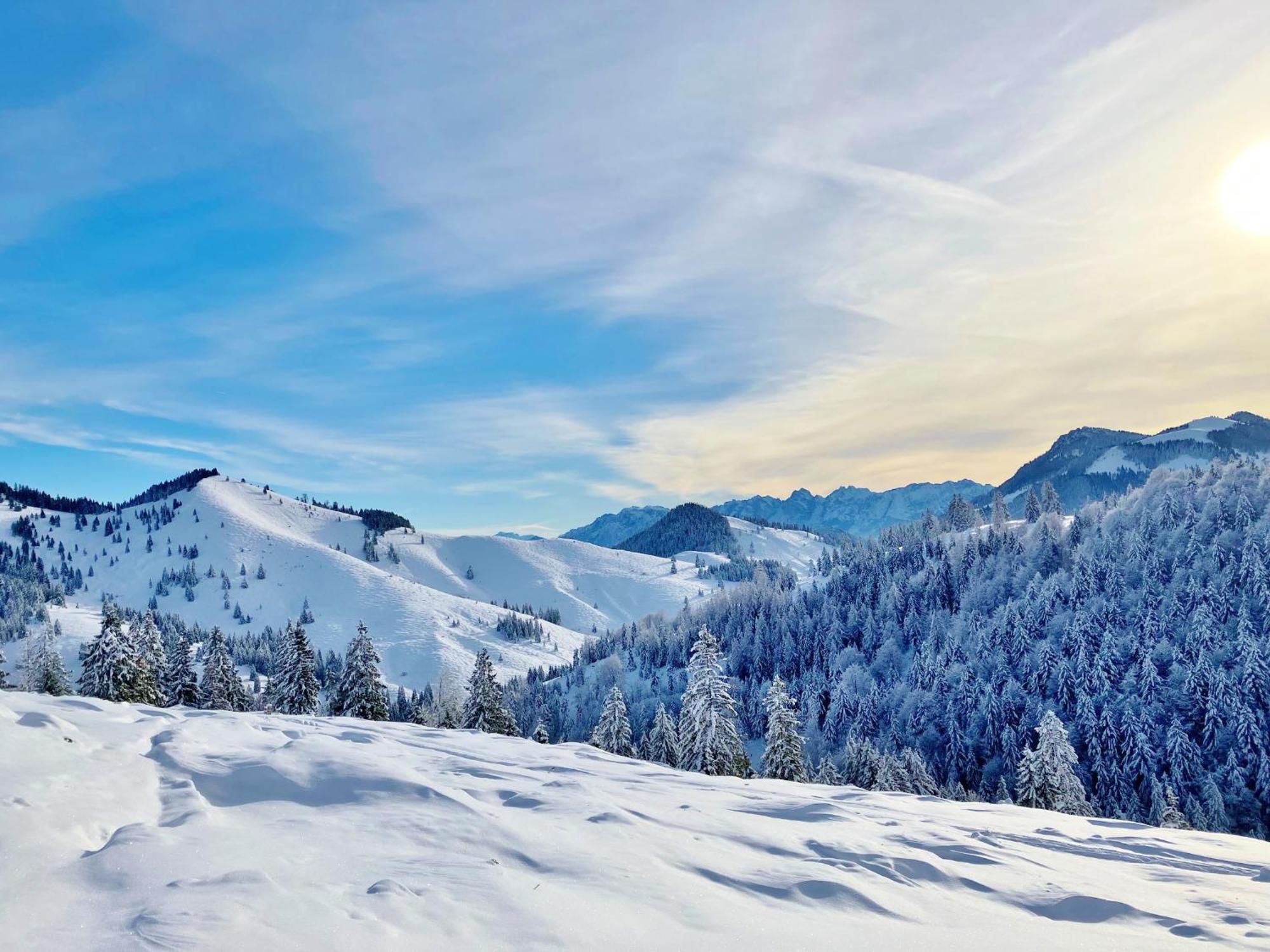 Open Garden Mountain Lodge Oberaudorf Dış mekan fotoğraf