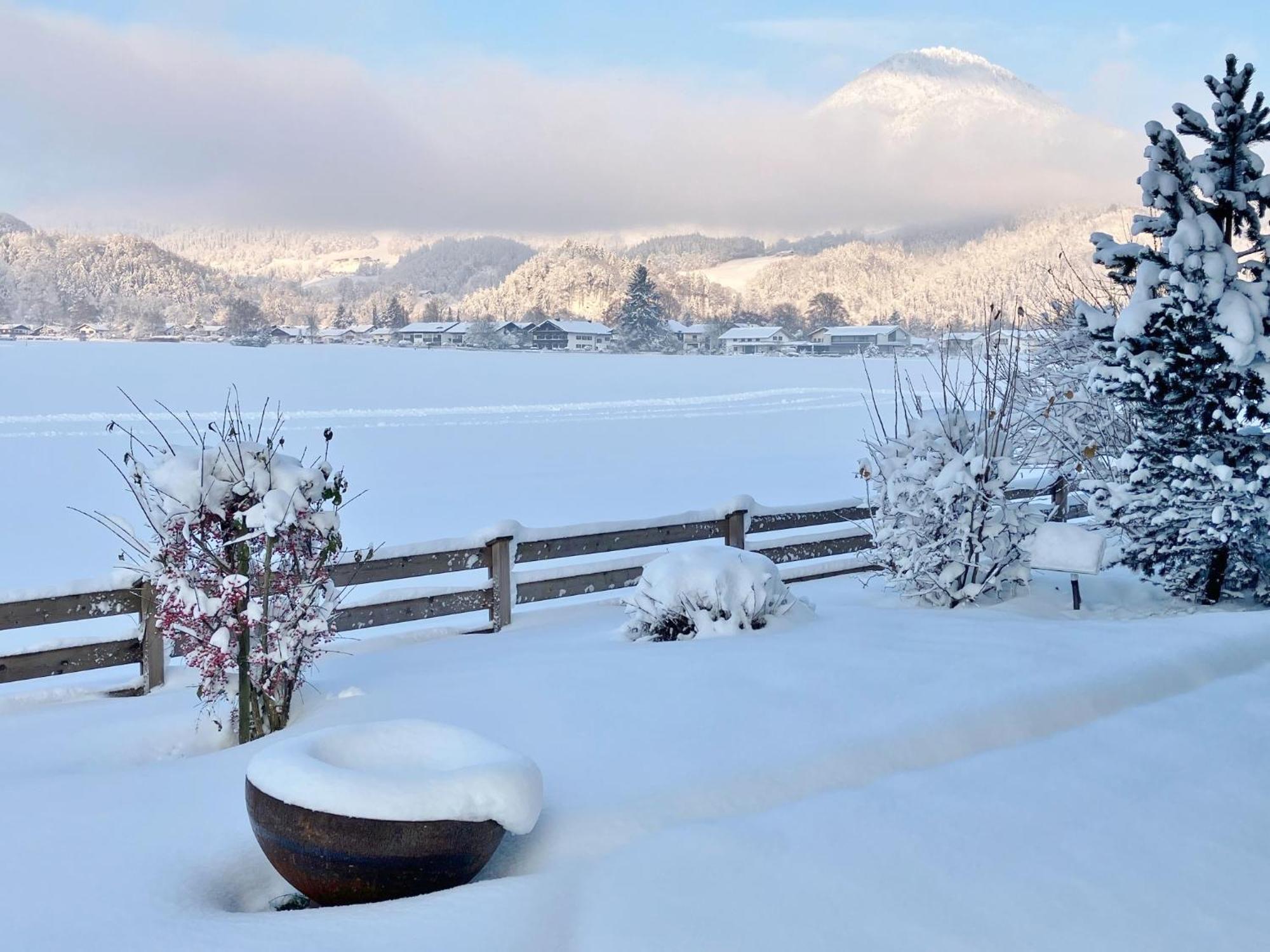 Open Garden Mountain Lodge Oberaudorf Dış mekan fotoğraf