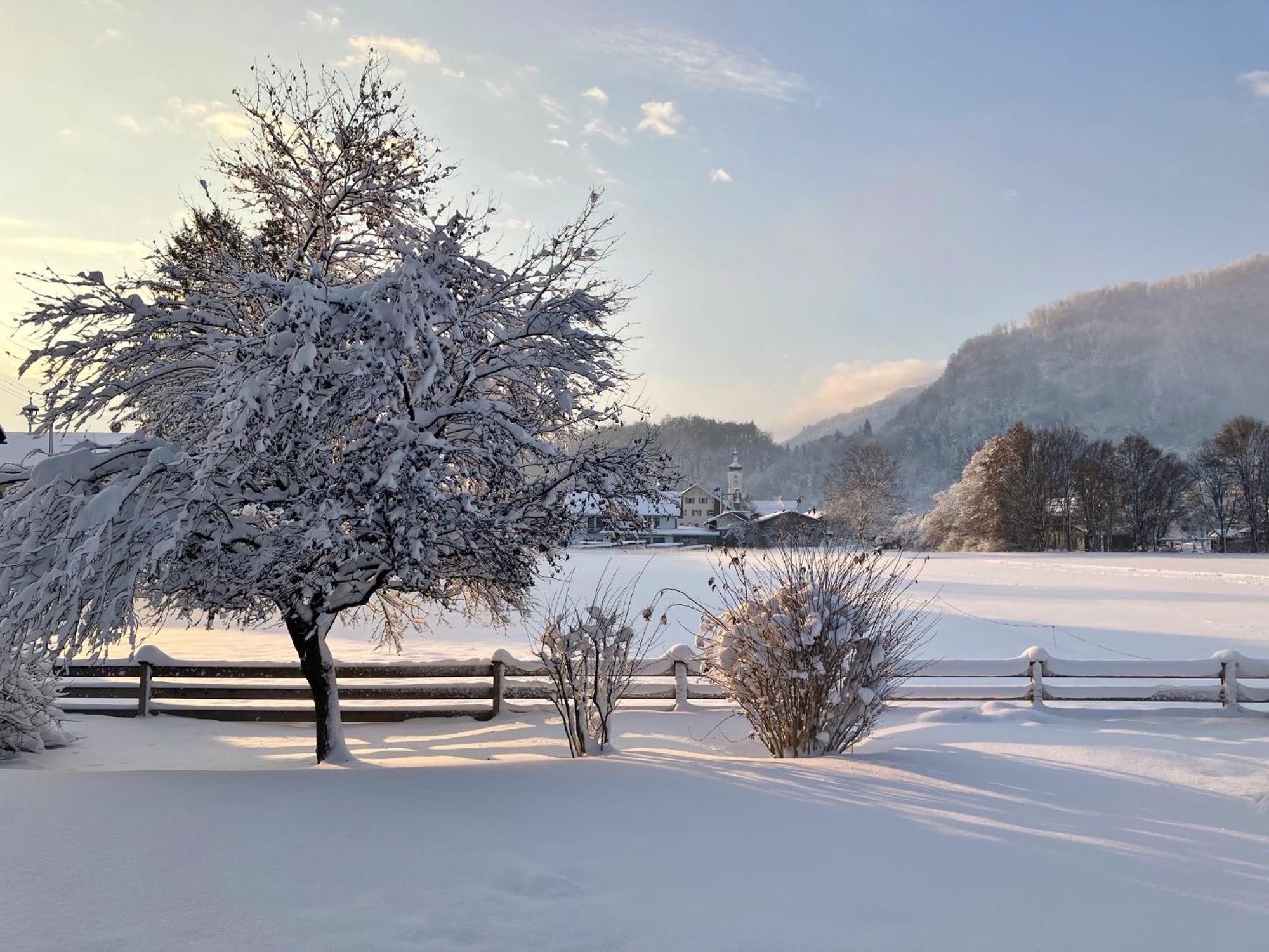 Open Garden Mountain Lodge Oberaudorf Dış mekan fotoğraf