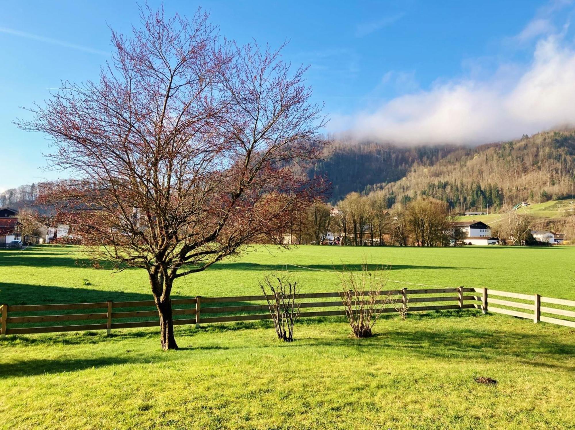 Open Garden Mountain Lodge Oberaudorf Dış mekan fotoğraf