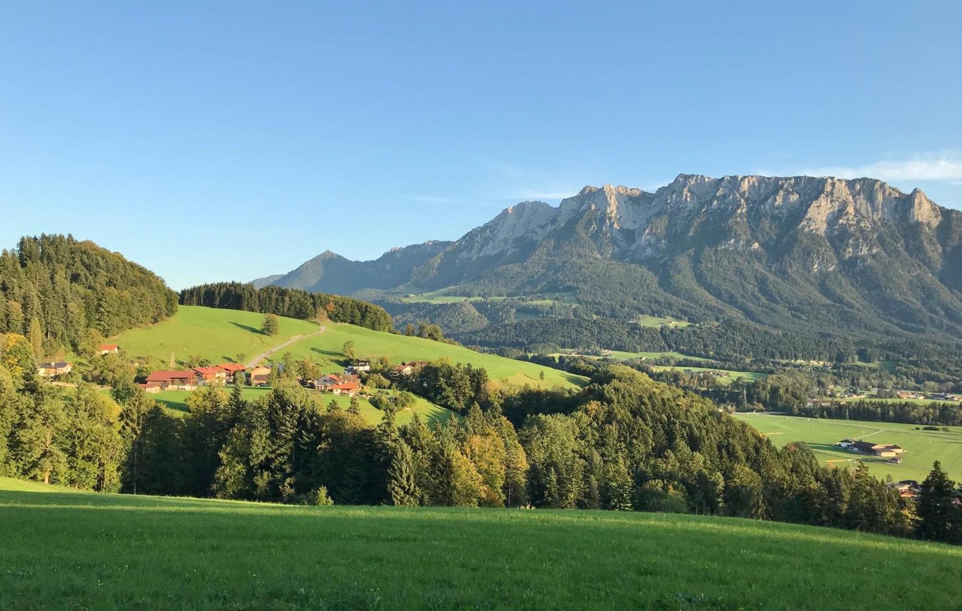 Open Garden Mountain Lodge Oberaudorf Dış mekan fotoğraf