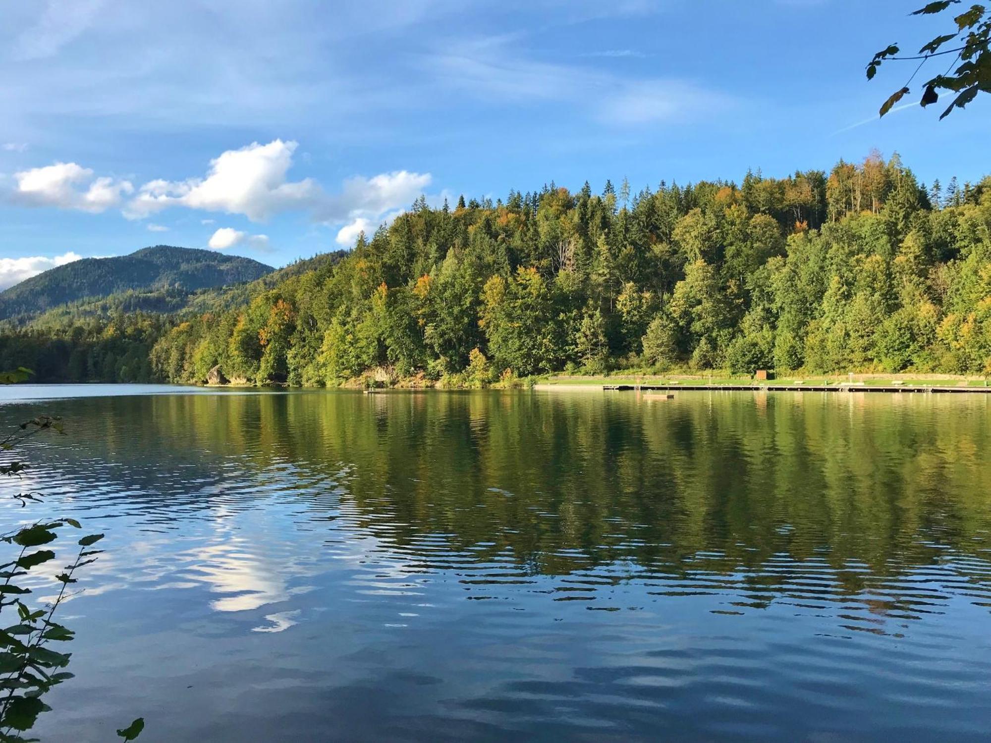Open Garden Mountain Lodge Oberaudorf Dış mekan fotoğraf